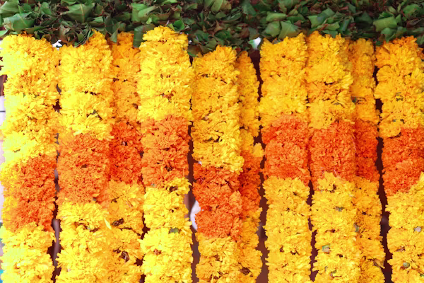 Flowers arranged for export